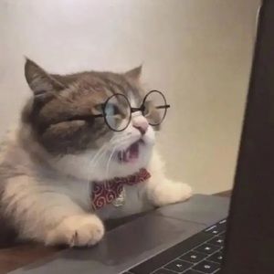 Meet your Posher, Ye